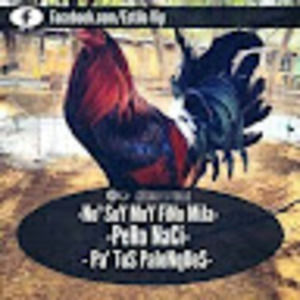 Meet your Posher, Wilmer